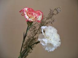 beautiful flowers bouquet in the house