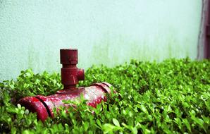 Fire Hose Green Small