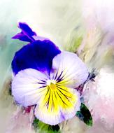 pansy as a watercolor painting