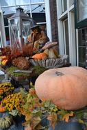 Helloweenm Cucurbita Decoration
