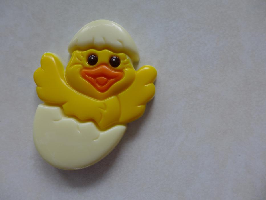 Easter Chicks Egg