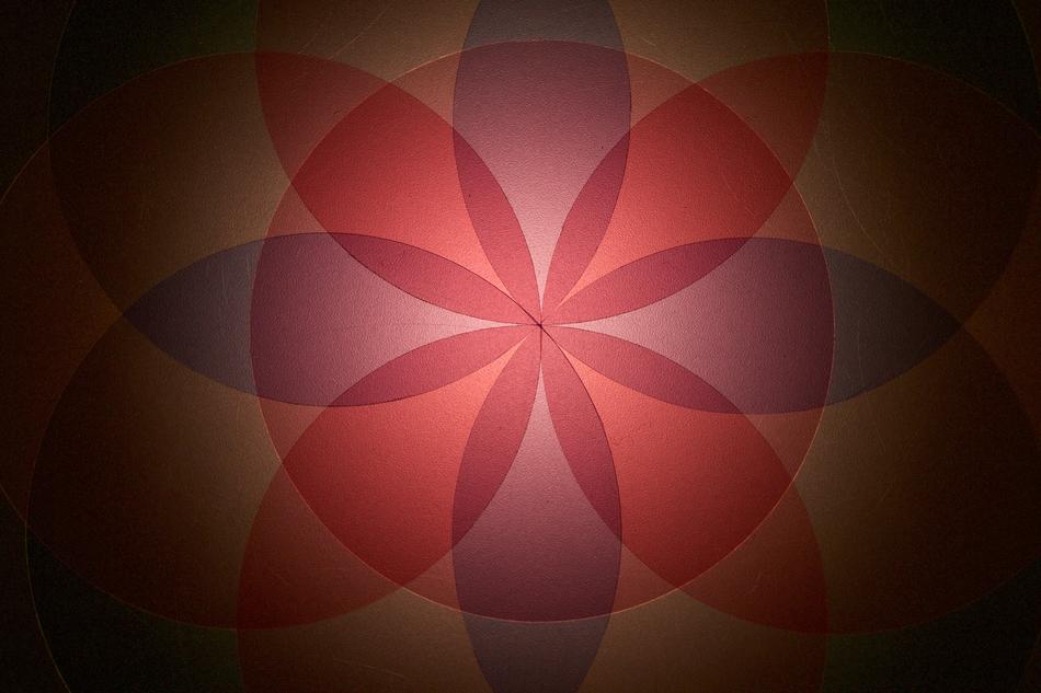 Beautiful and colorful, blossoming star in light, among the darkness, clipart
