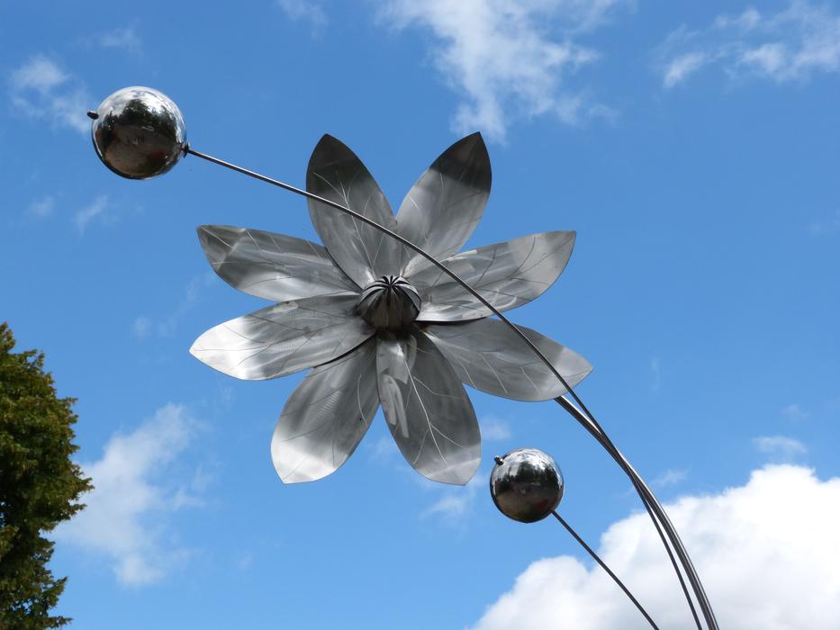 silvery flower against the sky
