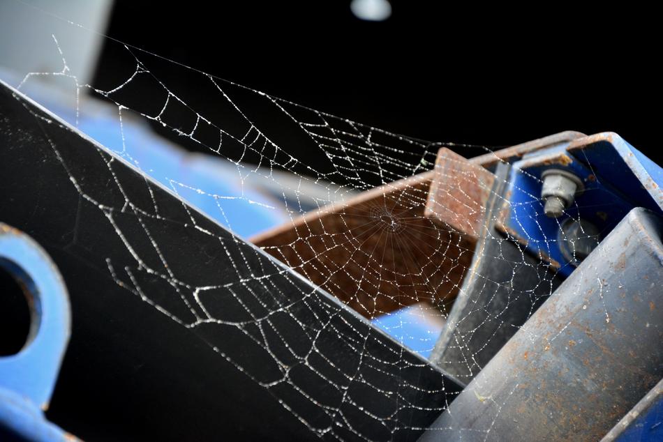 Cobweb Spider Hotel The Sand
