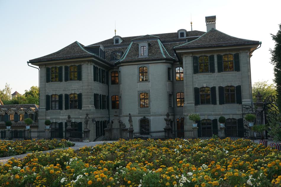 blooming garden with flowers by the house