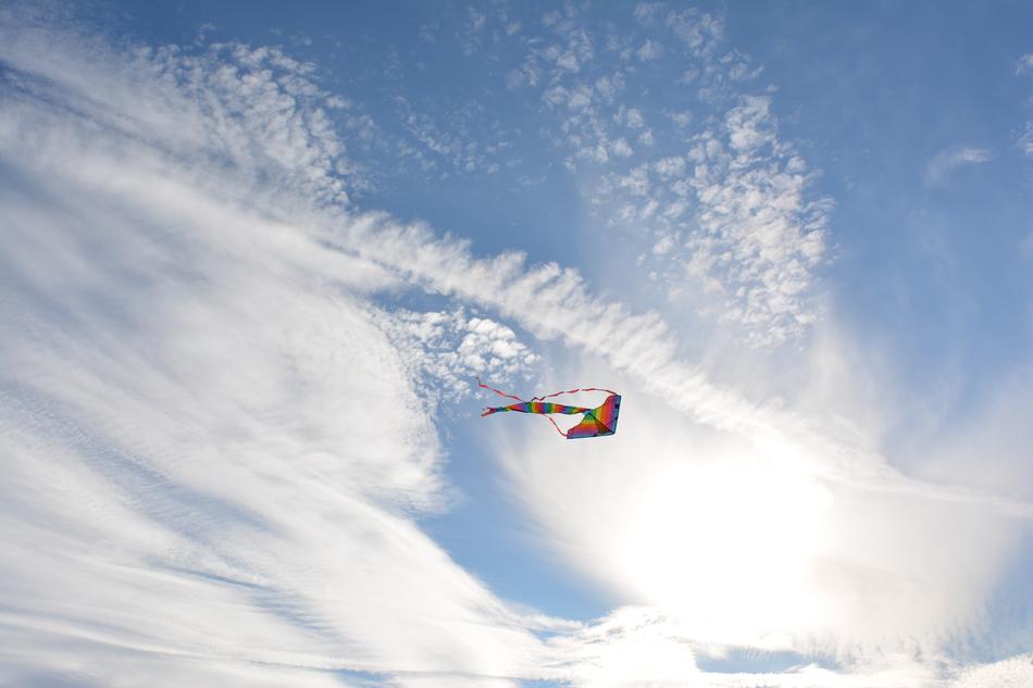 colored kite in the sky