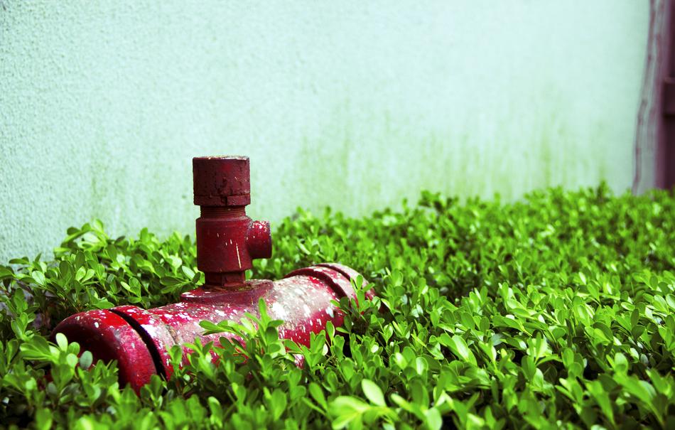 Fire Hose Green Small