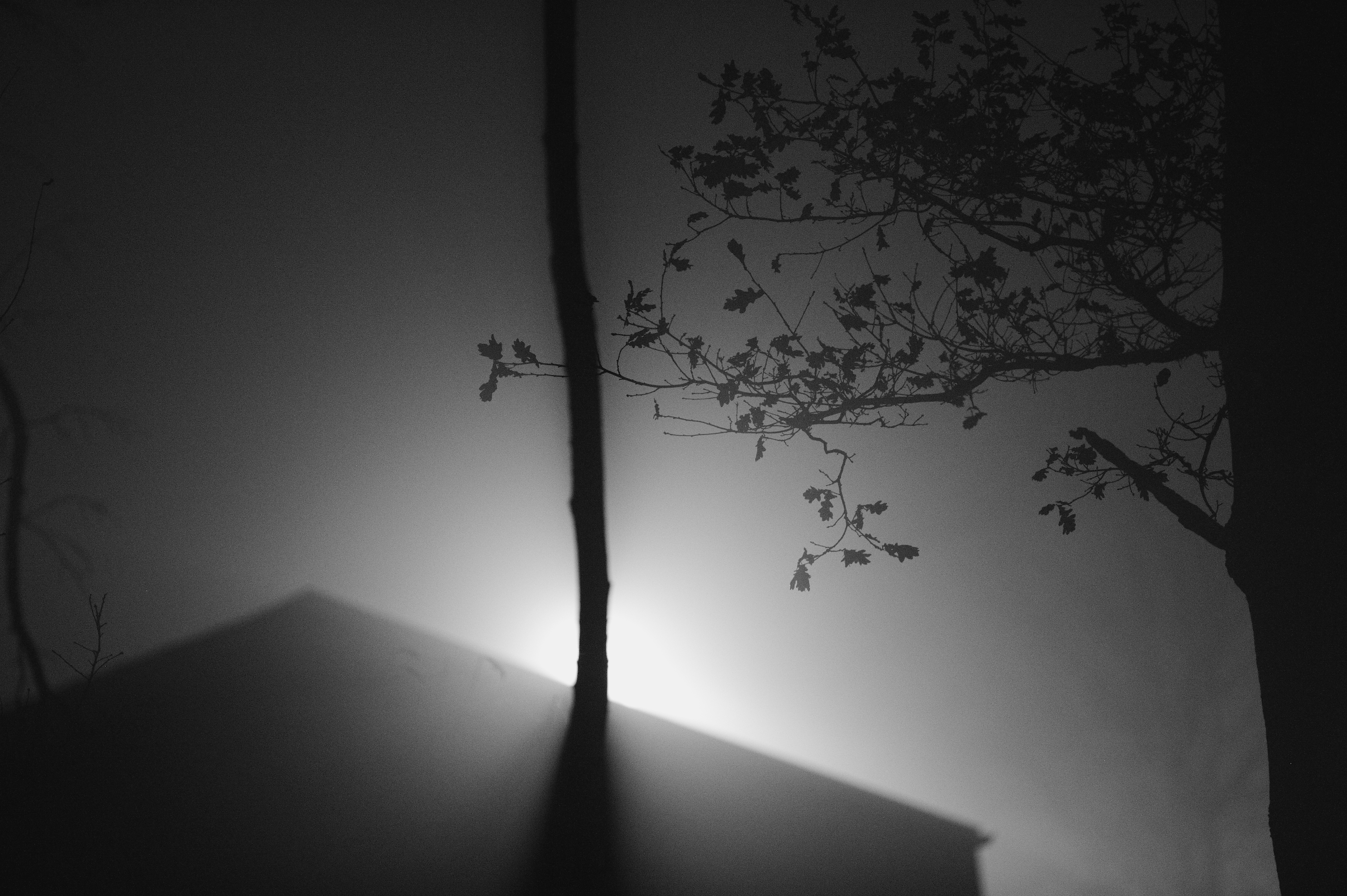 Light Lens Shadow free image download