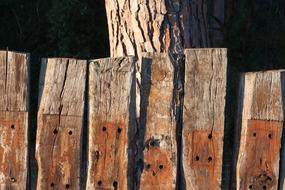 wooden fence with nails