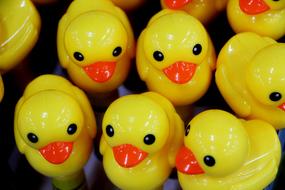 Duck Toy Cute