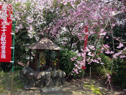 ltar in a blooming park