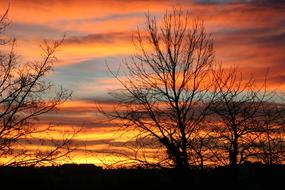 orange sky with silhouettes of trees