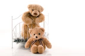 Teddy Bear Bears Plush