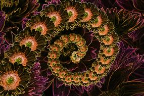 dark creative flowers