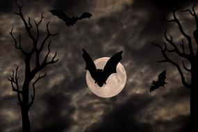 bats against the moon
