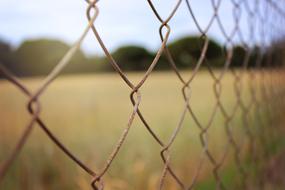 thin iron rusty fence