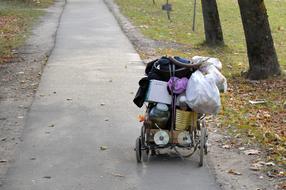 junk cart on the road