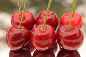 Ripe sweet cherries on the table