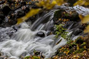 beautiful waterfall in an autumn forest