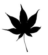 black tree leaf pattern