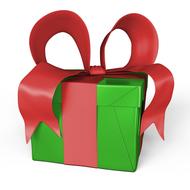 wrapped gift with a red bow