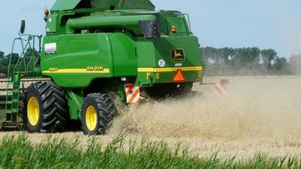 Harvesting in a farmer field