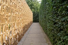 green and wooden fence in the garden