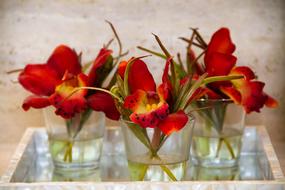 Close-up of the colorful and beautiful flowers with leaves in the glasses with water