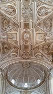 patterned ceiling with a lamp