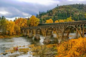 Autumn trees at the bridge with the river