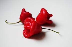 Slices of ripe peppers