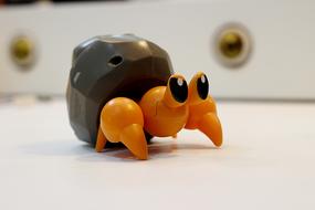 Crab Pokémon Dwebble