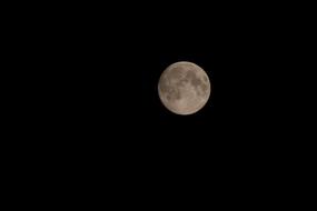 lonely moon in the black night sky