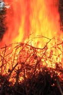 Fire Flame Burn Log