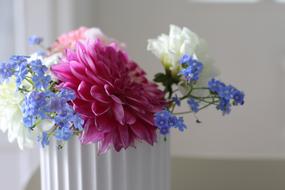 Flowers Flower Within