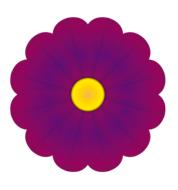 flower purple on a white background as an illustration