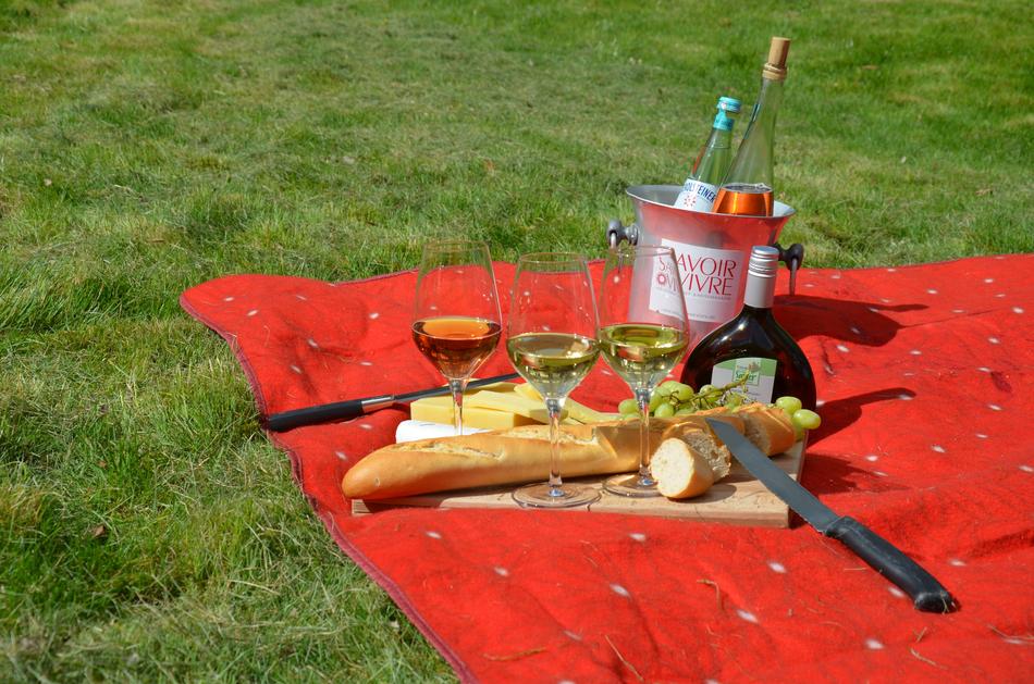 great picnic in nature