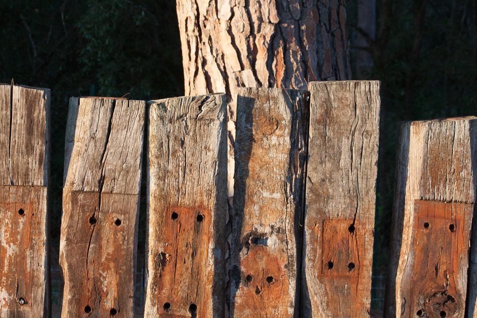 wooden fence with nails