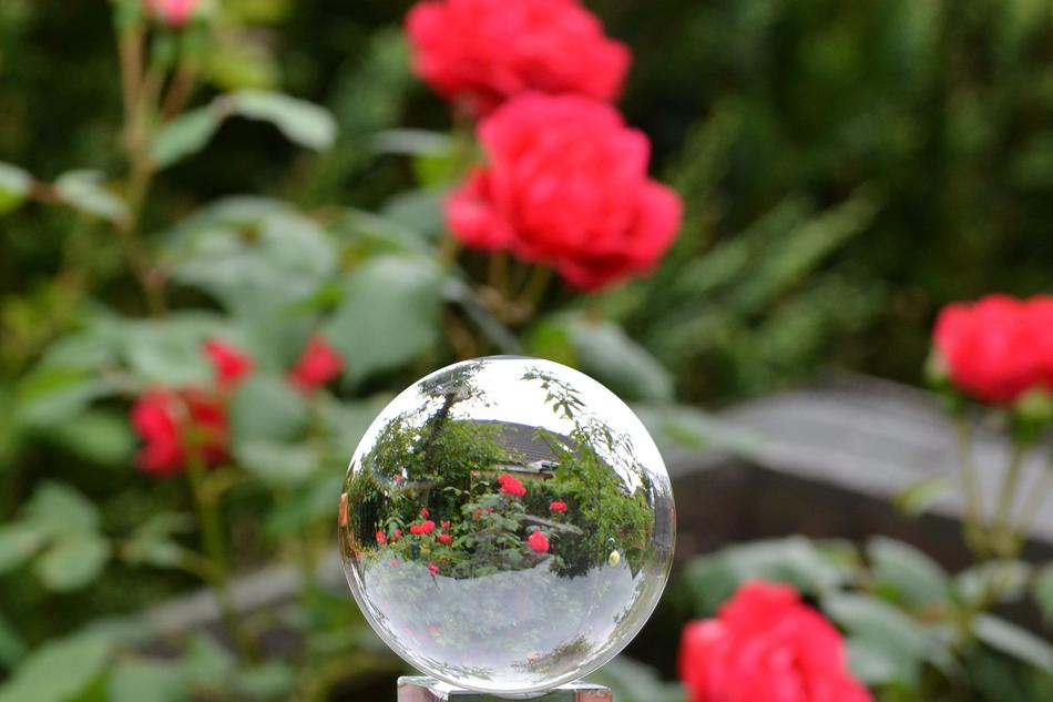 Rose Glass Ball In