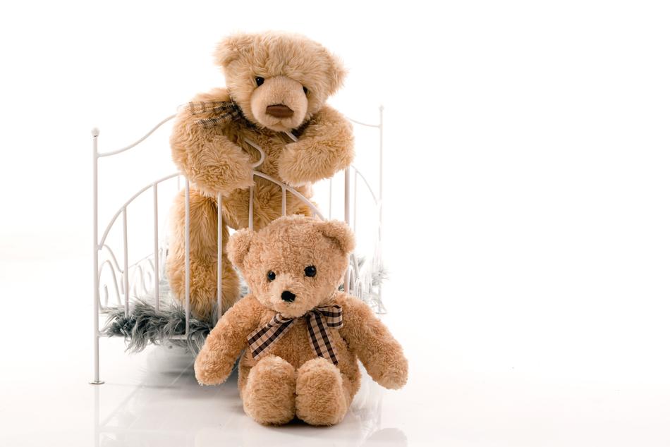 Teddy Bear Bears Plush