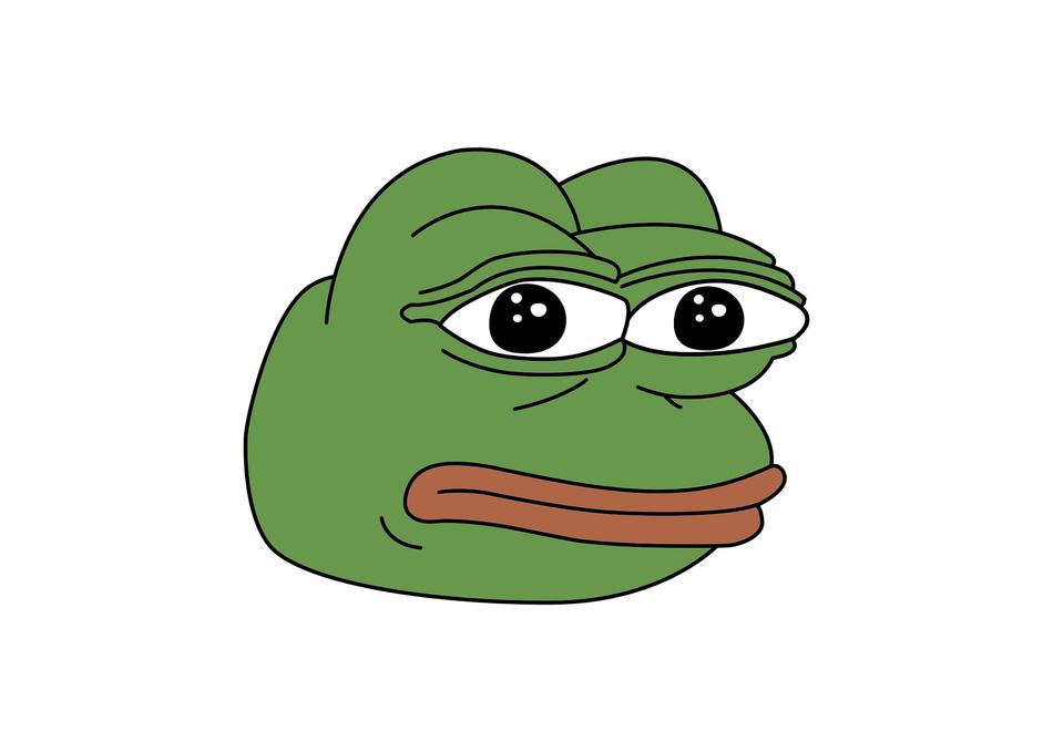 pepe the frog frog meme funny