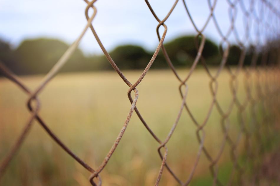 thin iron rusty fence