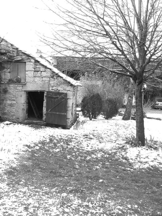 old barn in winter