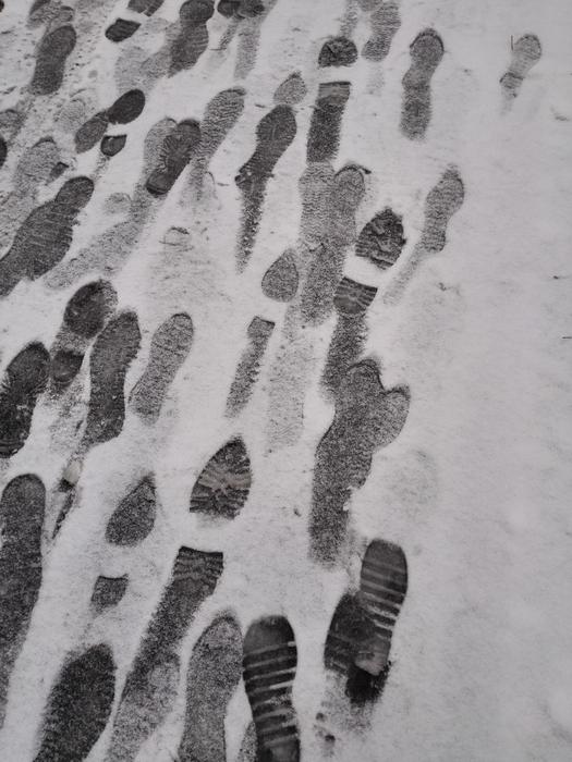 Snow Footprints Black And White