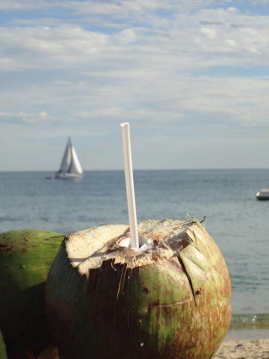 coconut fruit with a straw