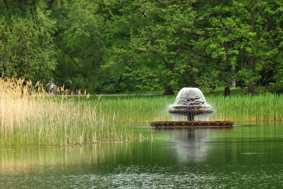 Fountain Park Water