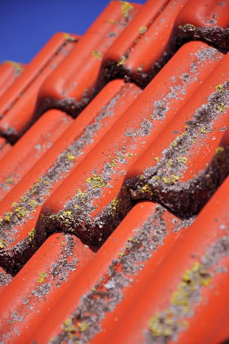 red brick on the roof