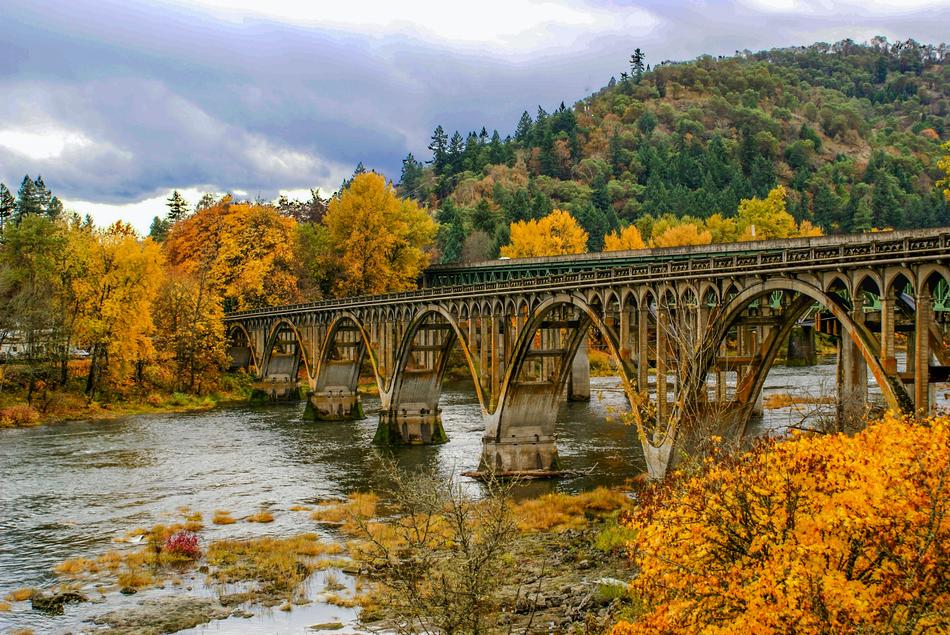 Autumn trees at the bridge with the river