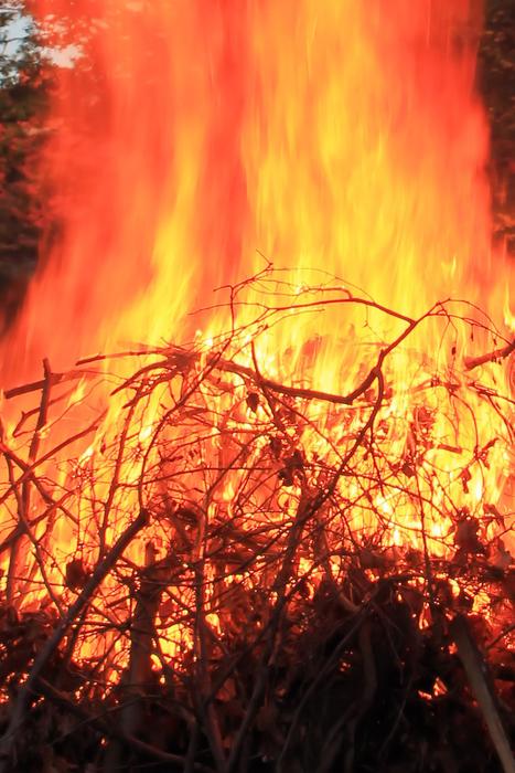 Fire Flame Burn Log