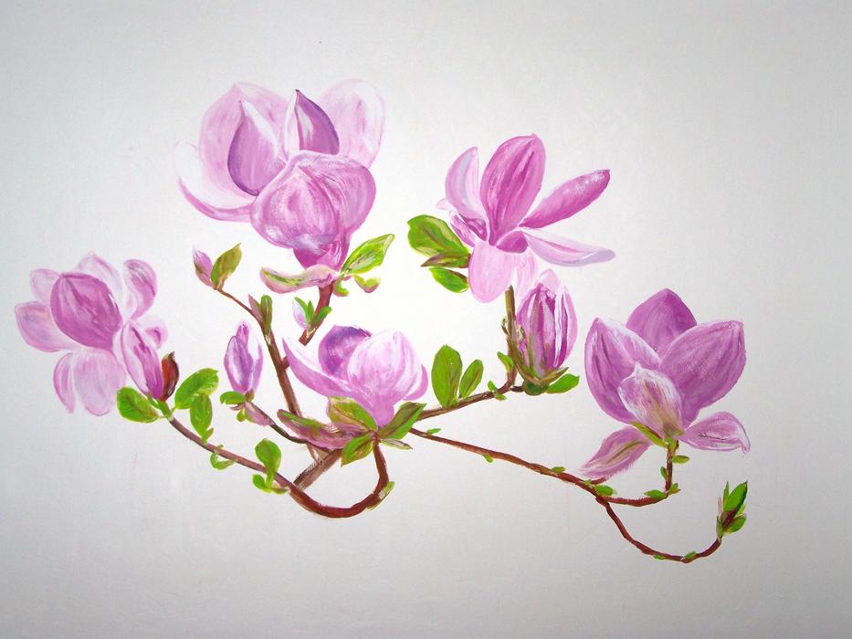 Magnolia Flowers